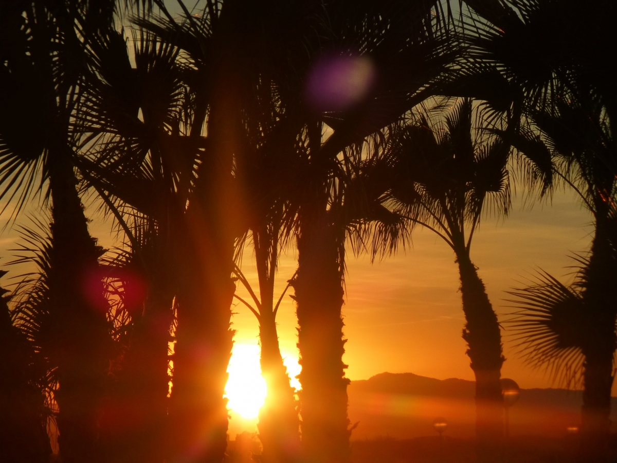 Typischer Sonnenuntergang im Hacienda del Alamo Golf Resort